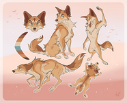 Dingo Ref Sheet